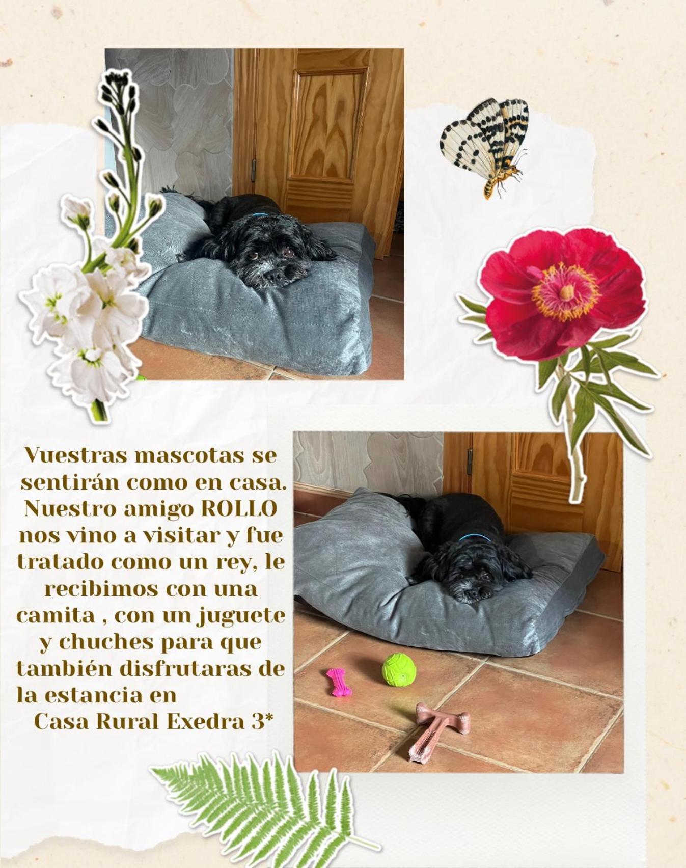 Casa Rural Exedra 3 Estrellas Carcaboso Luaran gambar